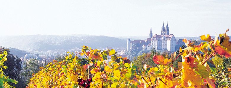 Weinberge mit Blick auf die Meißener Albrechtsburg
