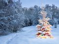 Weihnachten