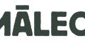 Chamäleon