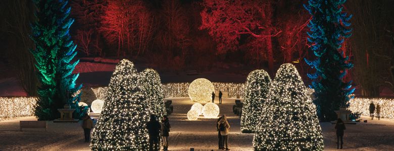 Christmas Garden Berlin Christmas Garden Berlin