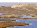 Westflandern, Naturpark het Zwin