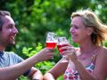 Bierprobe Bierprobe