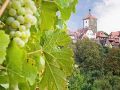 Rothenburg ob der Taube,r Weinberg und Weisser Turm