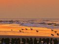 Sonnenuntergang am Meer