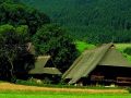 Gutachtal Schwarzwald, Vogtsbauernhof Gutachtal Schwarzwald, Vogtsbauernhof