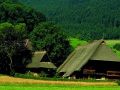 Gutachtal Schwarzwald, Vogtsbauernhof